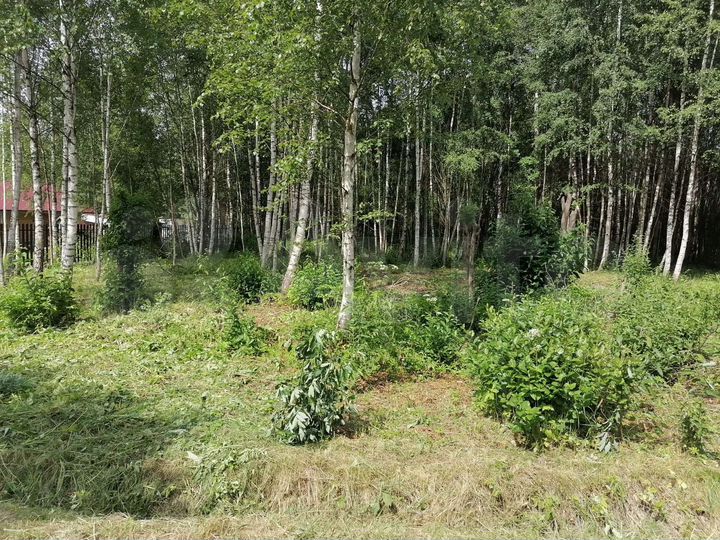 Участок 10 сот. (СНТ, ДНП)