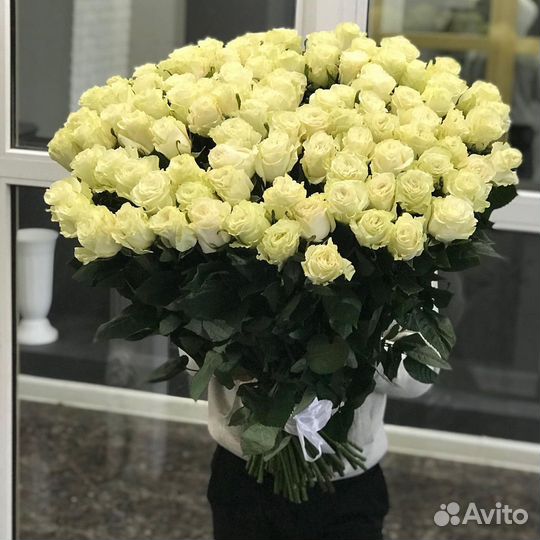 Розы Доставка цветов 35 51 101 роза Цветы