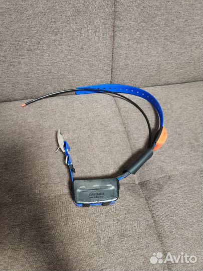 Ошейник Garmin T5 Америка