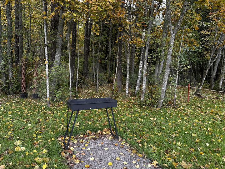 Дом 49 м² на участке 6 сот.