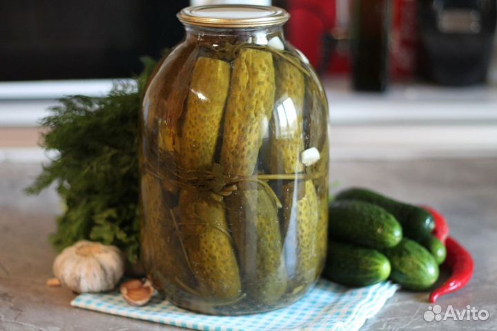 Пастернак сушеный корни