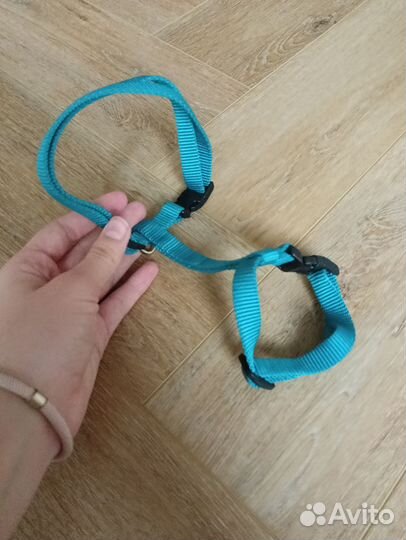 Вещи на Йорка