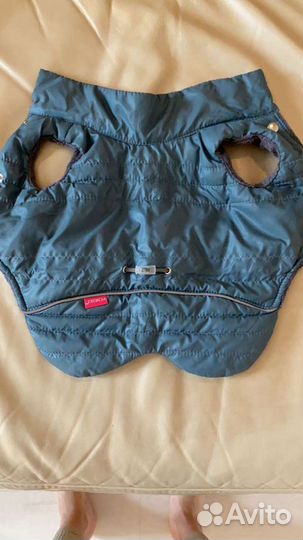 Вещи для маленькой собачки и одежда