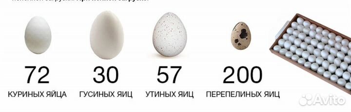 Инкубатор для яиц