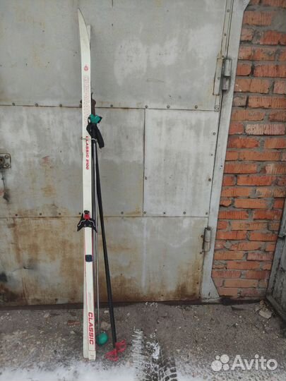 Беговые лыжи