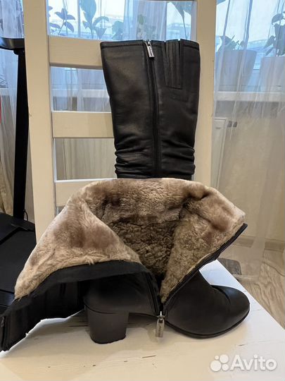 Сапоги женские