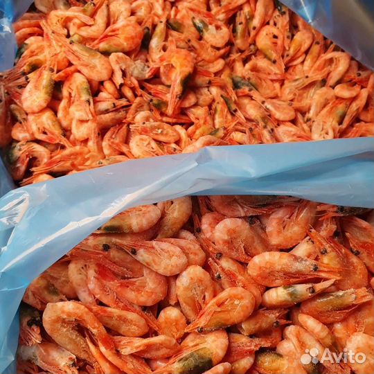 Креветка северная все размеры
