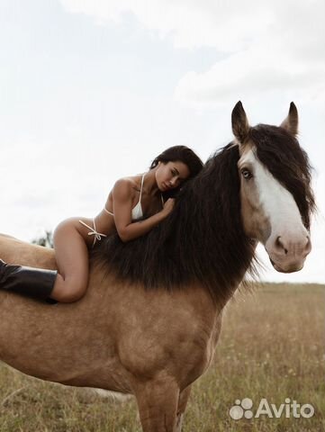 Фотосессии с уникальными лошадьми