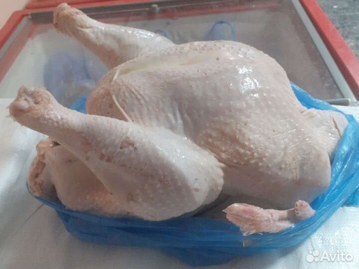 Мясо домашней индейки халяль