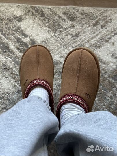 Ugg tazz tasman chestnut