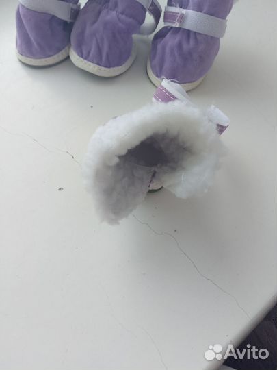 Ботинки для собак