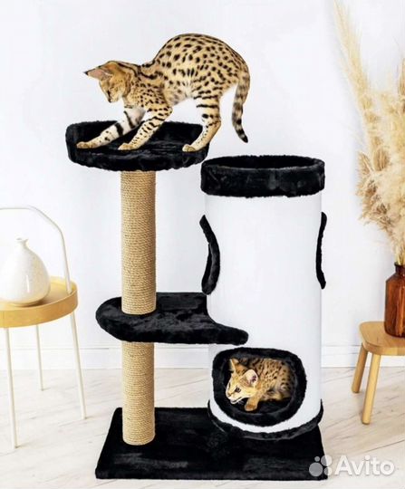 Когтеточка домик для кошки