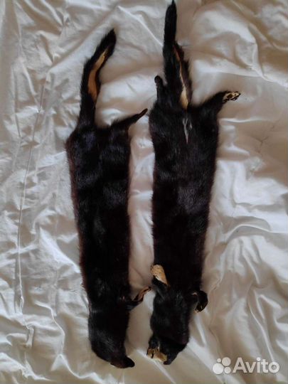 Шкурка норки, СССР