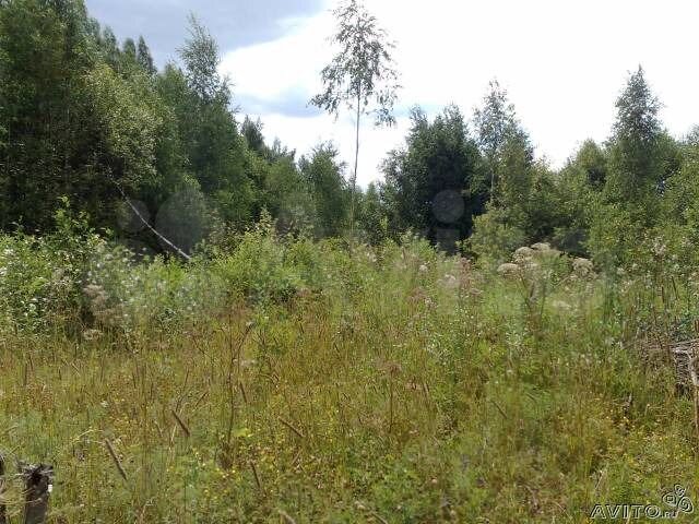 Участок 12 сот. (СНТ, ДНП)