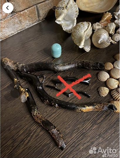 Черный коралл, ракушки, зуб акулы