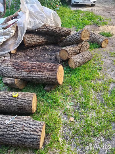 Спил дуб 30см*3-4см