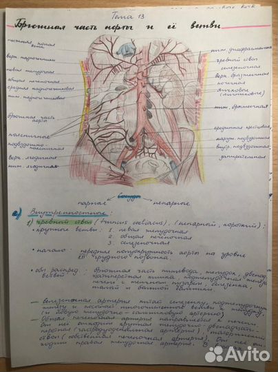 Написание конспектов