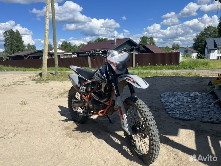 Продам progasi palma 300