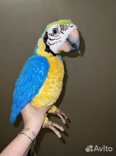 Заяц, попугай, собачка, пылесос hasbro