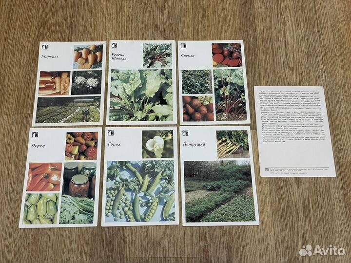 Открытки СССР (цена за всё) 1985г