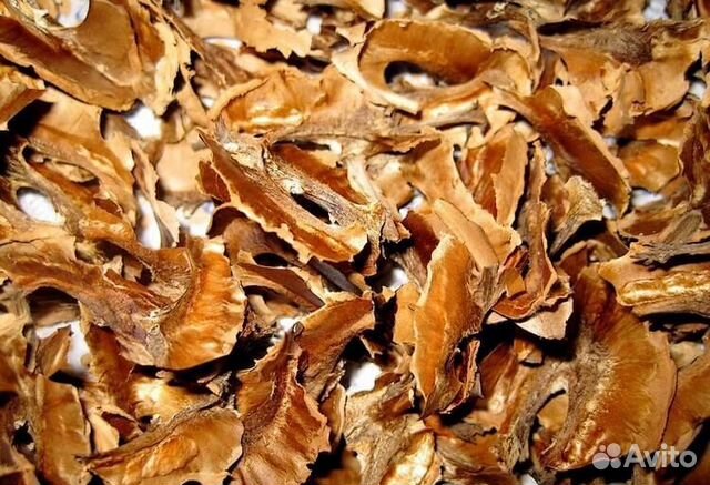 Перегородки грецких орехов