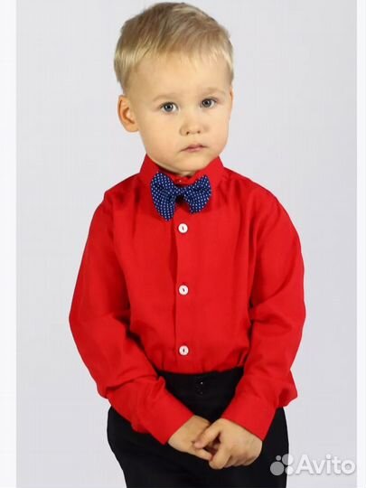 Нарядная рубашка для мальчика Стиляги