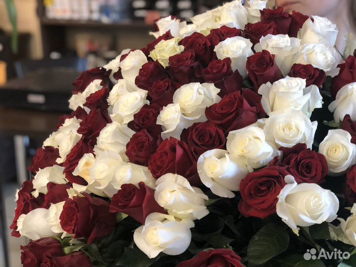 Розы Эквадор, Букет 25 роз, купить розы оптом