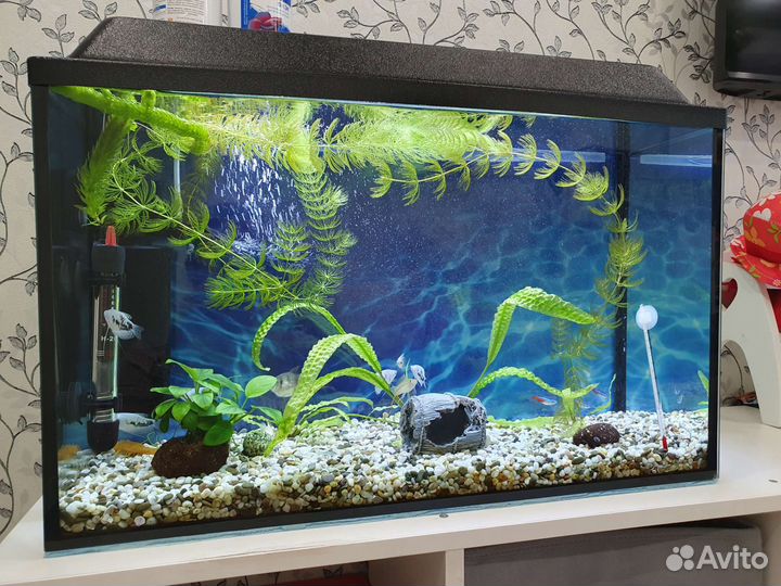 Аквариум
