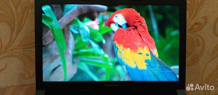 Ноутбук Lenovo B50-30 (Intel Pentium N3540