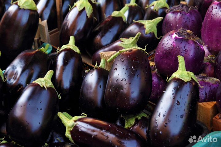 Сортировщик/ца Баклажанов Вахта от 10 смен