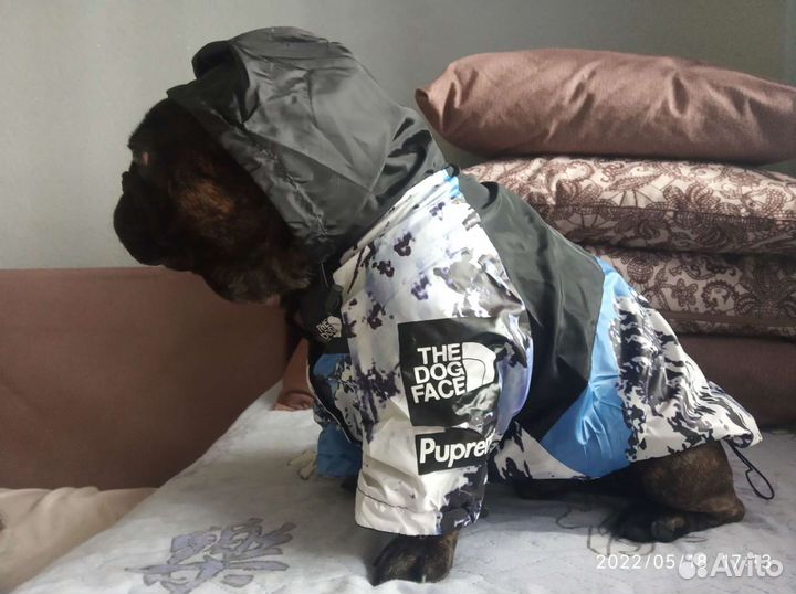 Дождевик-куртка для собак