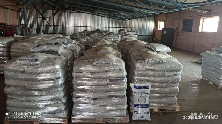 Корма для африканского сома и форели