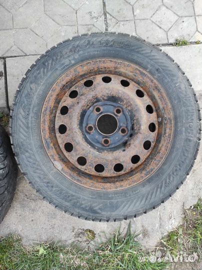 Gislaved Nord Frost 5 185/65 R15