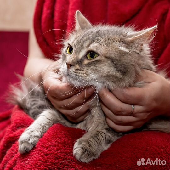 Я красивая, но вредная и оттого ненужная никому