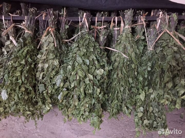 Банные веники