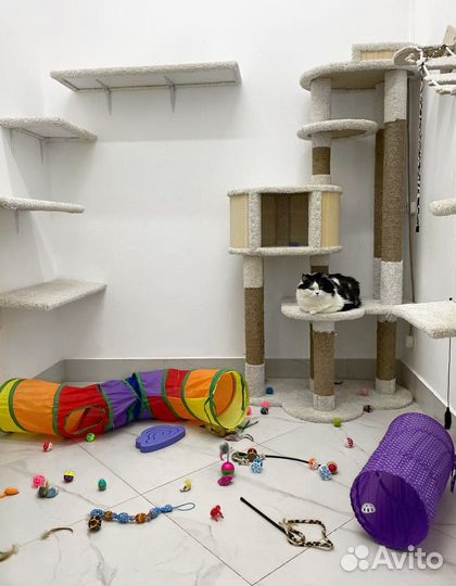 Зоогостиница/Передержка животных