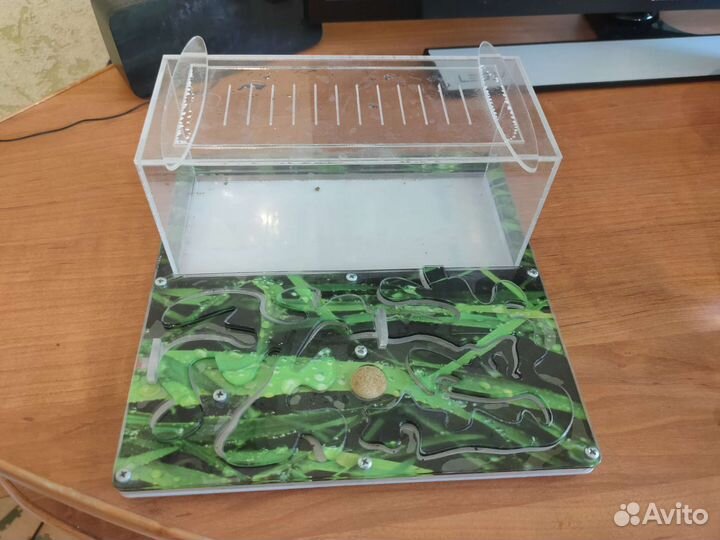 Муравьиная ферма без муравьев