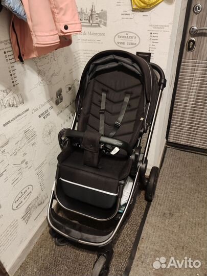 Коляска коляска прогулочная rant flex PRO 2023