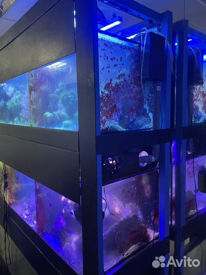 Морская аквариумная стойка