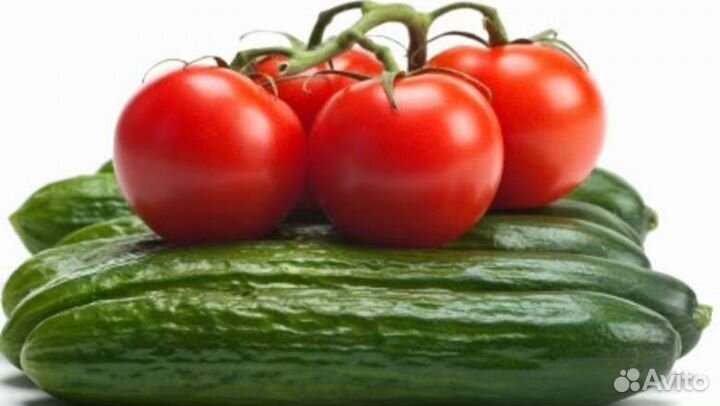 Свежие овощи, зелень с теплицы