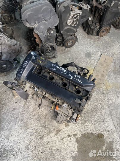 Двигатель aoda 2.0л Ford Focus ll aodb C307