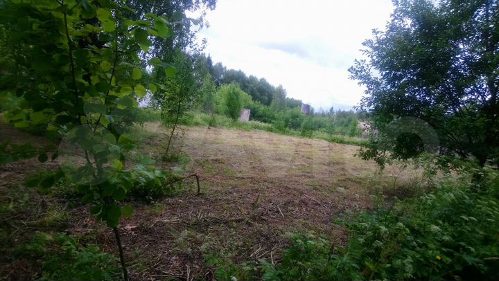 Участок 40 сот. (ИЖС)