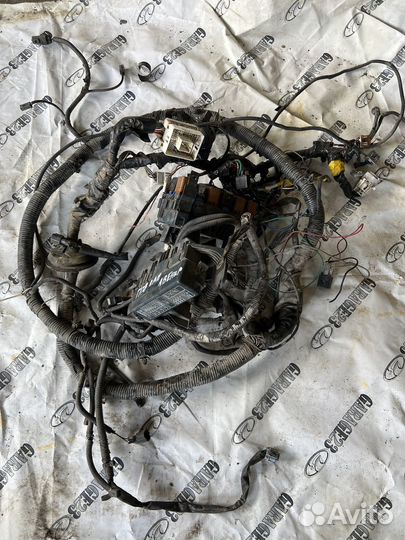Проводка подкапотная Nissan Avenir