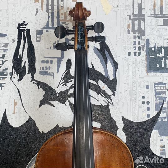 Скрипка 4/4 Jacobus Stainer