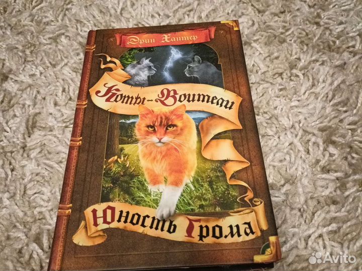 Серия книг Э. Хантер 