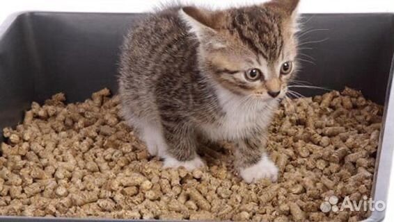 Древесный наполнитель для кошек и грызунов