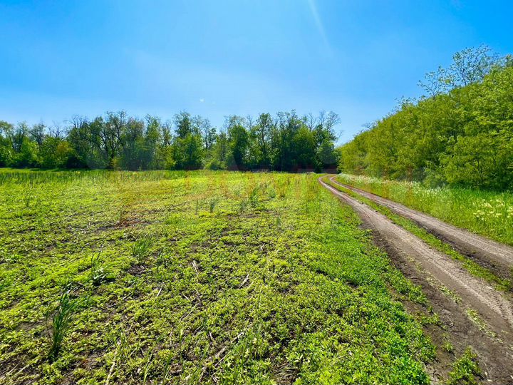 Участок 5 сот. (ИЖС)