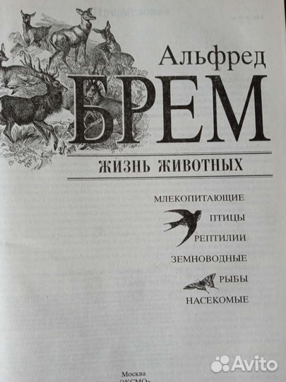 А.Брэм. Жизнь животных,современная версия,957стр