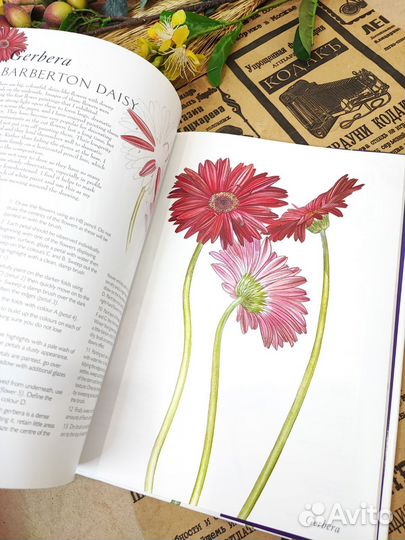 A-Z of Flower Portraits by Billy Showell