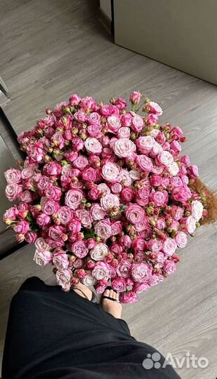 Розы кустовые премиум